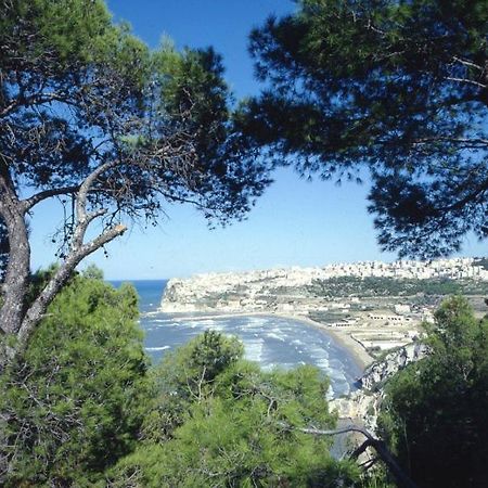 B&B Rose Villa Peschici Dış mekan fotoğraf