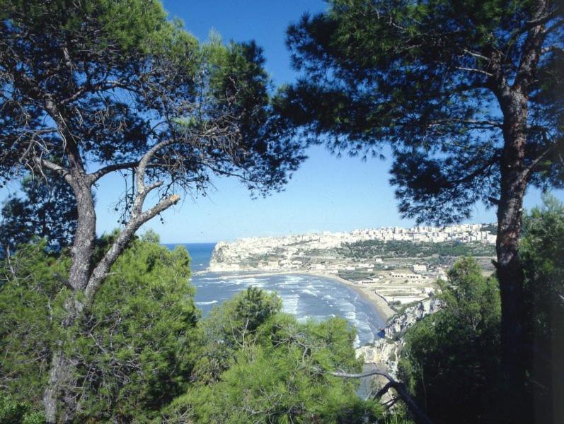 B&B Rose Villa Peschici Dış mekan fotoğraf