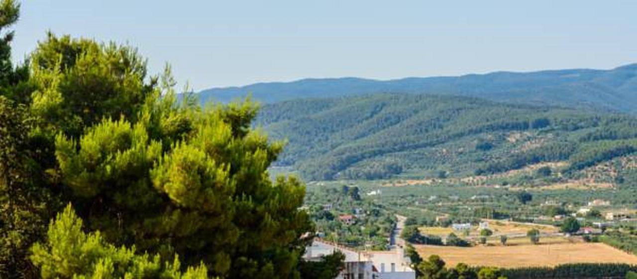 B&B Rose Villa Peschici Dış mekan fotoğraf